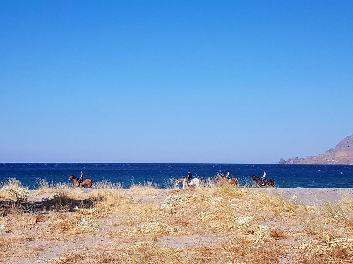 Annamaria Sea Side View Studio- 25M From The Beac Plakias Dış mekan fotoğraf