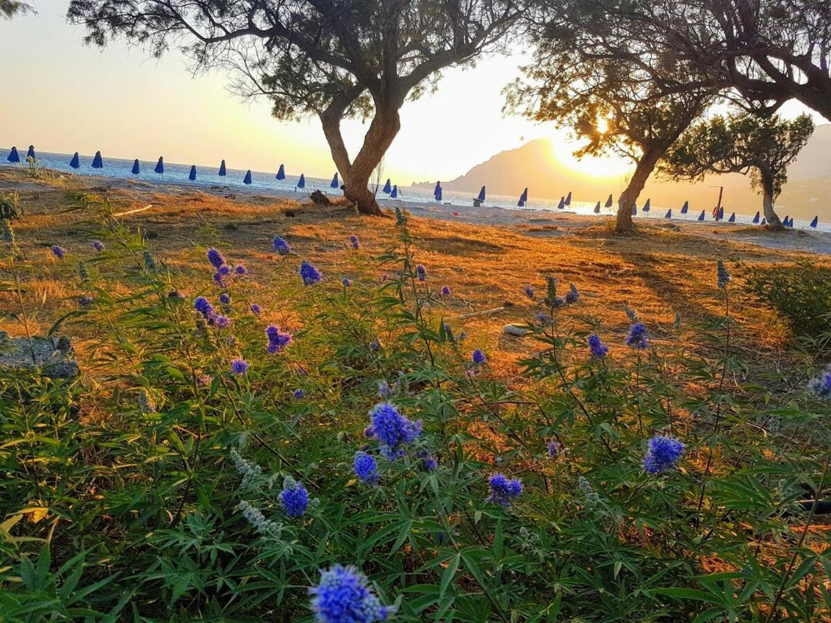 Annamaria Sea Side View Studio- 25M From The Beac Plakias Dış mekan fotoğraf